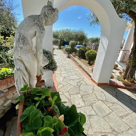 Konukevi Gli Archi Anacapri (Isola di Capri)
