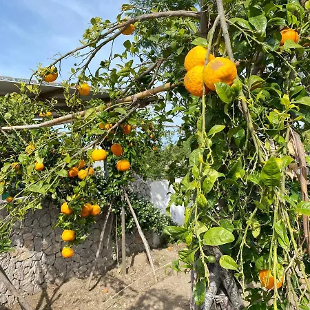 Gli Archi Konukevi Anacapri (Isola di Capri)